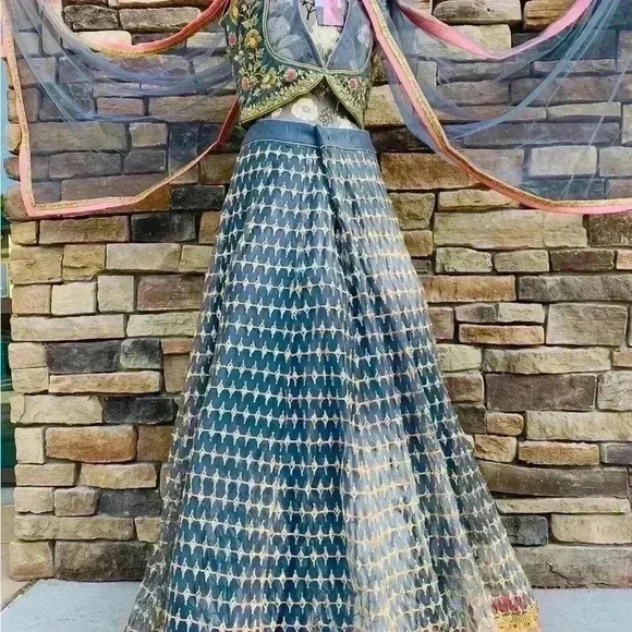 Beautiful Designer Lehenga only worn once in perfect conditions - Picture 1 of 5